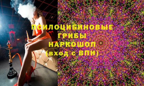 2c-b Белокуриха