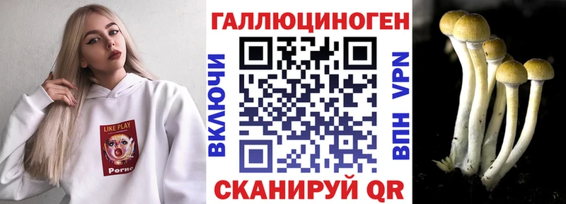 купить наркоту  Грозный  Псилоцибиновые грибы прущие грибы 