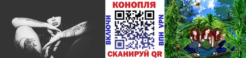 Конопля OG Kush Грозный